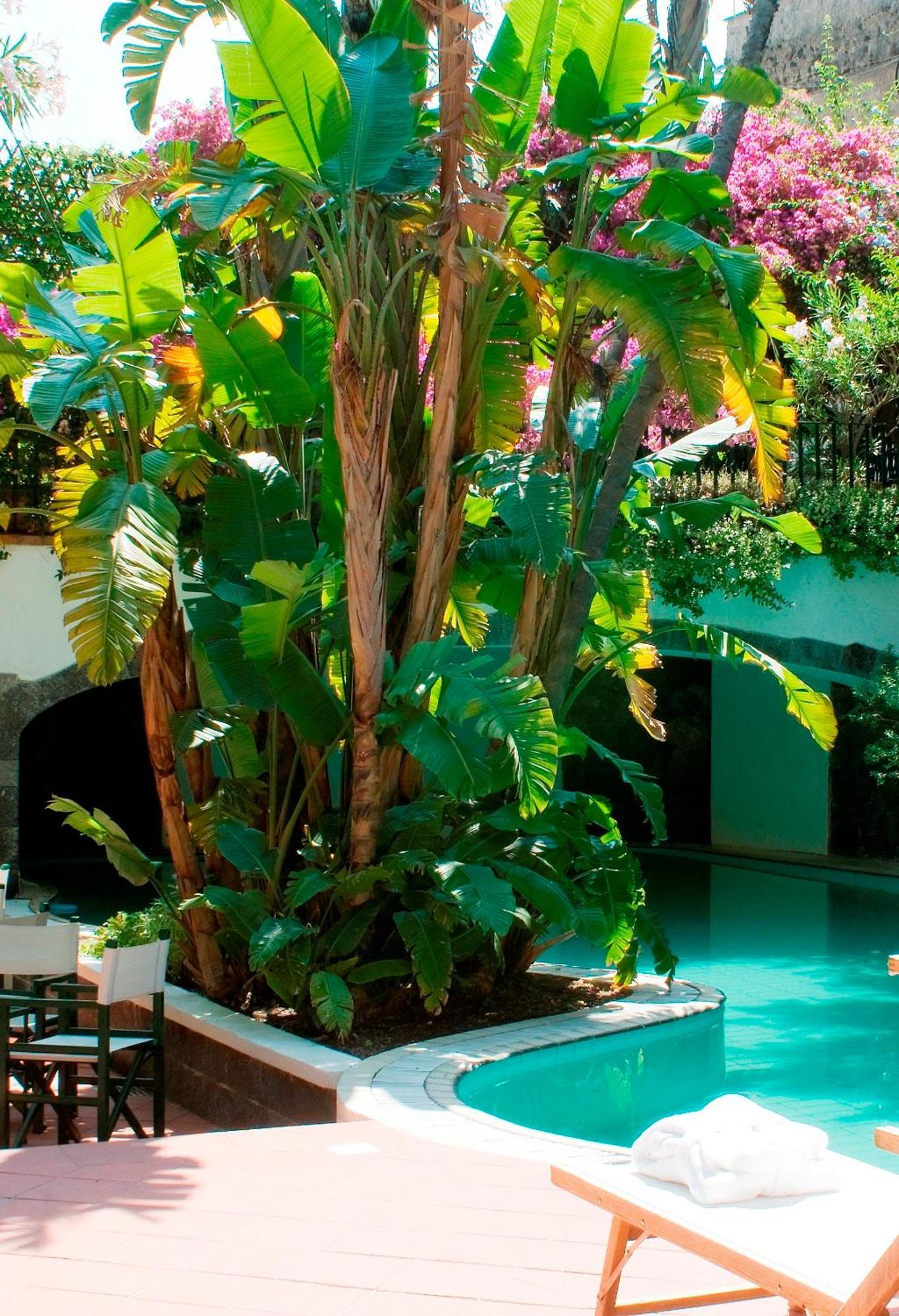 Hotel La Villarosa Terme Ischia Exteriör bild